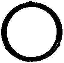 Кольцо масляного насоса SC