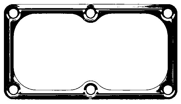 Прокладка впускного коллектора IVE