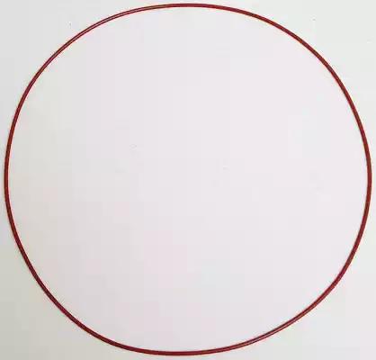 Прокладка клапанной крышки DAF