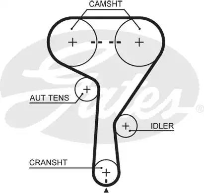 Ремень ГРМ 146x240 Alfa Romeo 159, Opel Astra 1.6/1.8 04>