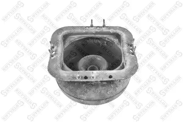 Пыльник рычага КПП FH12