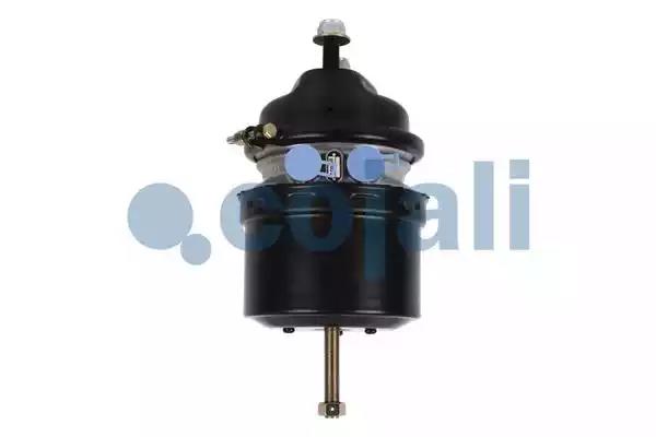 Энергоаккумулятор 20/24 (дисковый тормоз)