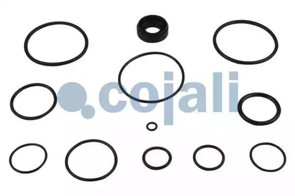 РМК крана ускорительного [уплотнители