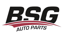 BSG