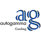 AUTOGAMMA