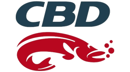 CBD