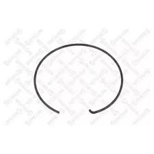 Кольцо ступицы стопорное ROR TE