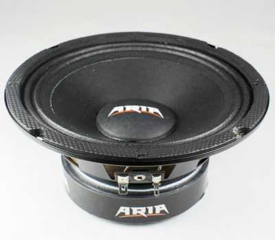 Эстрадная акустика   ARIA BZN-200S
