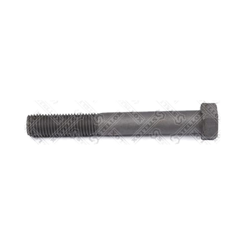 Болт M20*150*2,5
