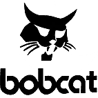 Bobcat