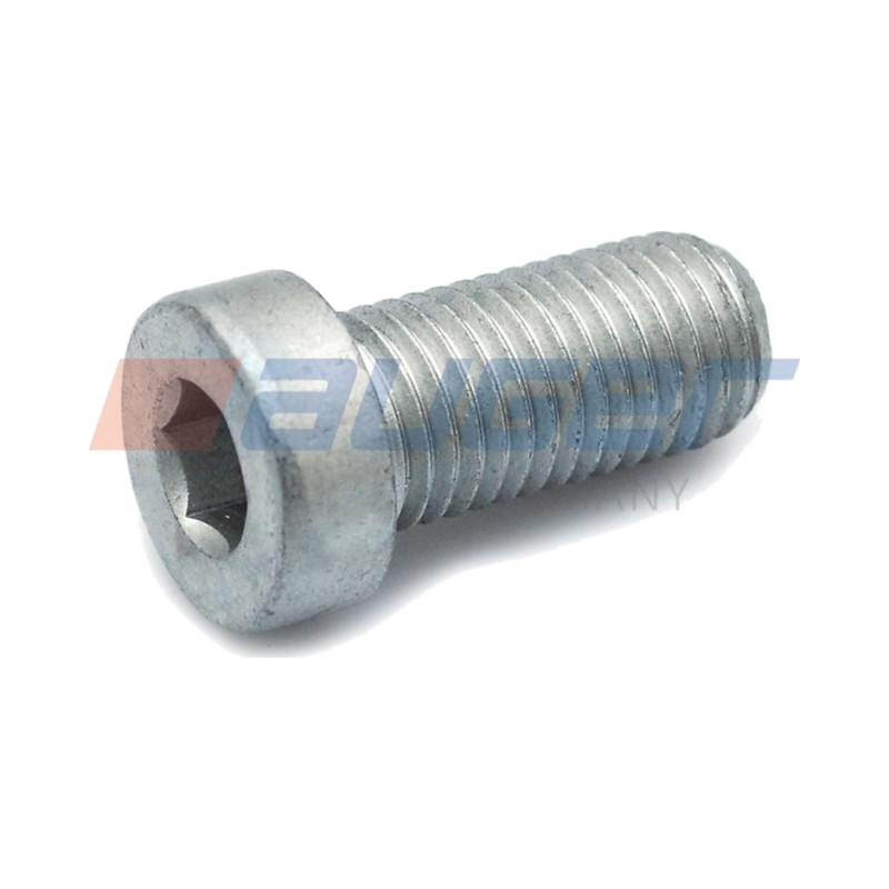Болт ступицы M12*1.5*25 Actros
