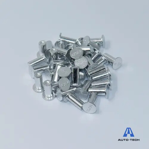 Заклепки 10х24 алюминиевые HOWO ,SHAANXI ,FOTON,DONG FENG,САМС