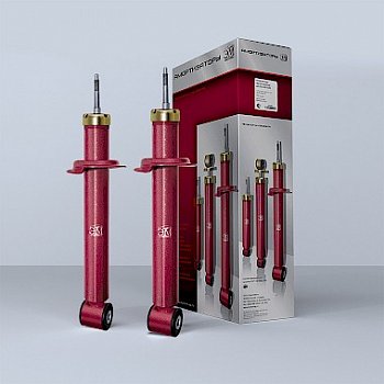 Стойка ВАЗ 2190 Гранта задняя комплект 2 шт!  ЭМ-89.00.000-01 (2190-2915004)