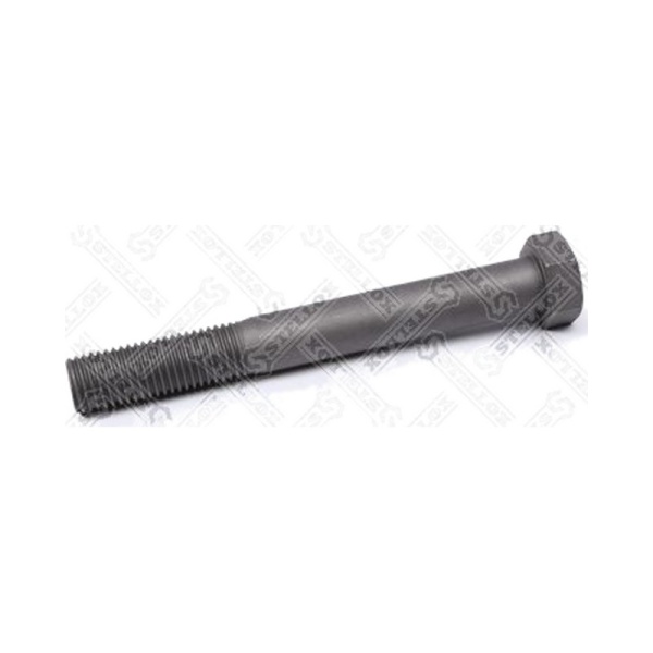 Болт М24x195x3