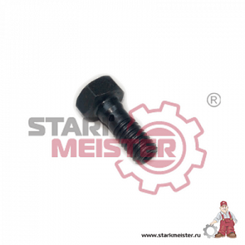 Болт топливной системы d=6мм МАН