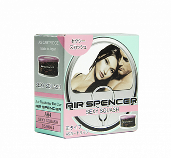 Ароматизатор меловой SPIRIT REFILL - SEXY SQUASH