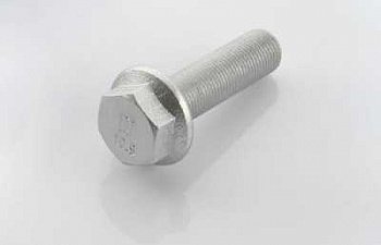 Болт суппорта. M16x 55x1.5