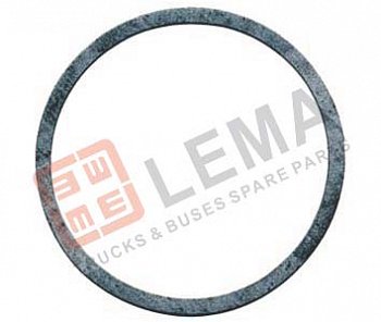 Прокладка термостата MAN F2000/F90/TGA/Omn MAN NEOPLAN