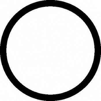 Кольцо 55x63 выпускного коллектора MAN