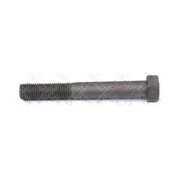 Болт M20*150*2,5