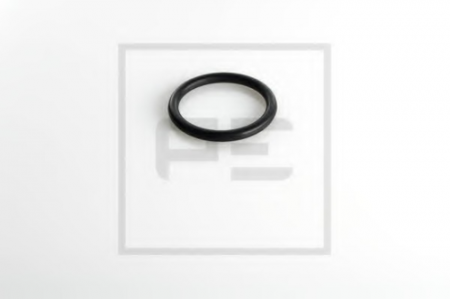 Кольцо 25.2x1.5 SC