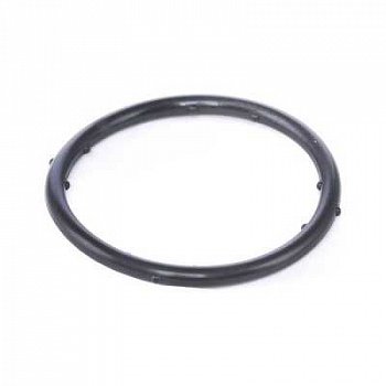 Прокладка фланца вод.охлажд .AUDI A3/A4/A6/TT,SKODA Octavia