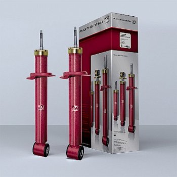 Стойка ВАЗ 2110, 1119 задняя комплект 2 шт!  ЭМ-87.00.000-01 (2108-2915004)