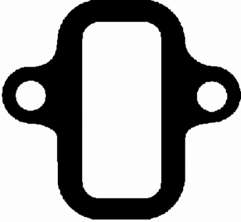 Прокладка впускного коллектора SC