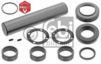 р/к шкворня !правый (мр) 45x229 с игольч. подшипн. \Omn Setra 216